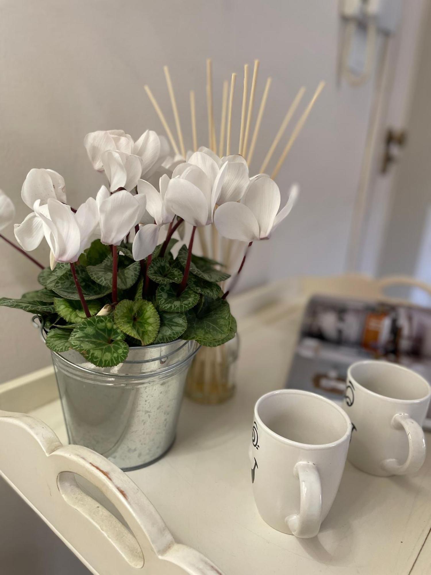 Charming Studio Next To The Duomo فلورنس المظهر الخارجي الصورة